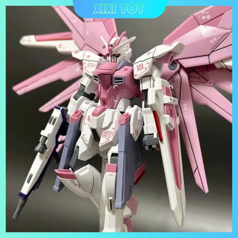 JMS HG 1/144 ZY-06 Freedom Ass - đánh giá và giá Bandai Model Gundam Hg